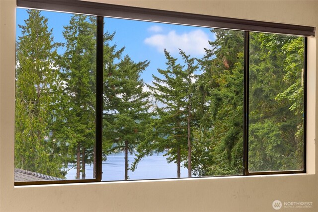 18513 NE 19th Pl, Bellevue, WA 98008 - photo 29