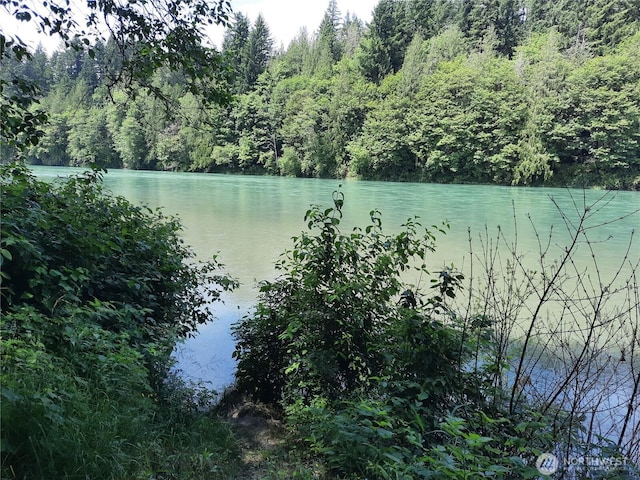 41707 N Shore Ln, Concrete, WA 98237 - photo 4