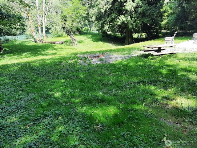 41707 N Shore Ln, Concrete, WA 98237 - photo 5