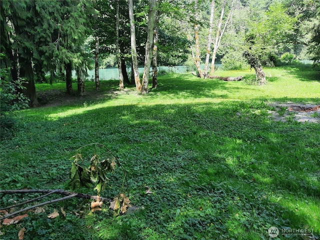 41707 N Shore Ln, Concrete, WA 98237 - photo 6