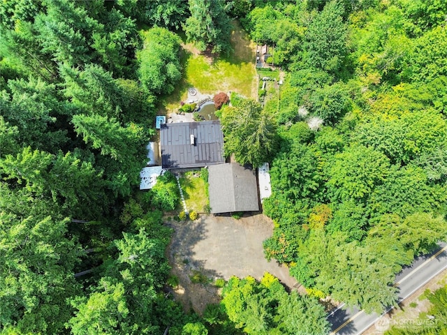 3939 Waldrick Rd SE, Olympia, WA 98501 - aerial view of property and surrounding area