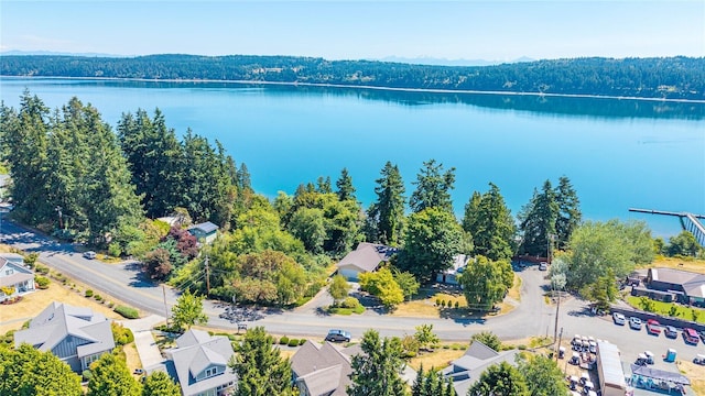 5017 Harbor Hills Dr, Freeland, WA 98249 - bird's eye view of a nearby body of water