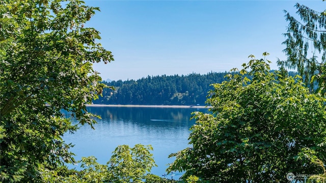5017 Harbor Hills Dr, Freeland, WA 98249 - water view with a heavily wooded area