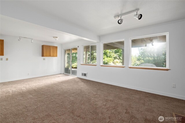5017 Harbor Hills Dr, Freeland, WA 98249 - empty room featuring rail lighting and carpet flooring