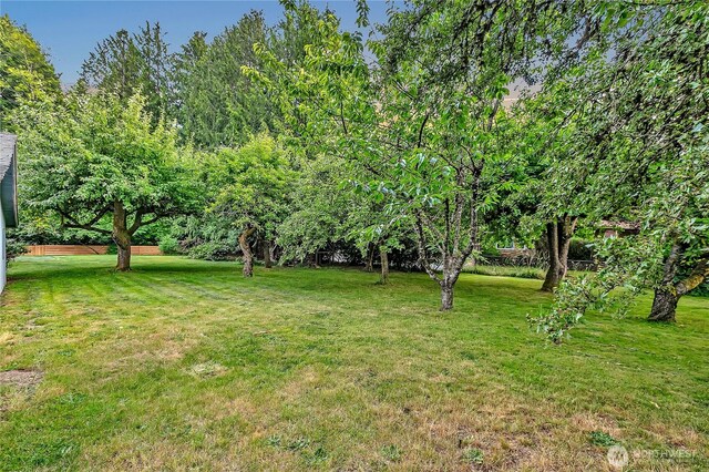 10629 SE 244th St, Kent, WA 98030 - photo 31