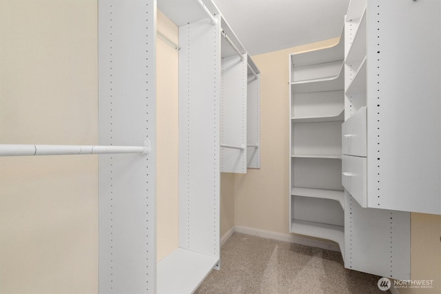 9132 NE 143rd Pl, Kirkland, WA 98034 - walk in closet featuring carpet