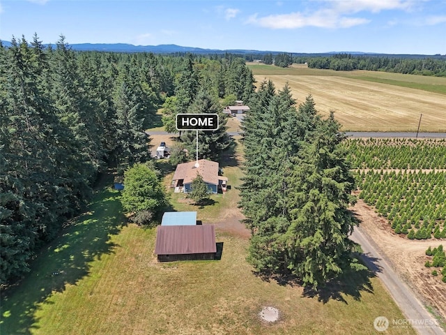 203 Pinkerton Rd, Ethel, WA 98542 - photo 5