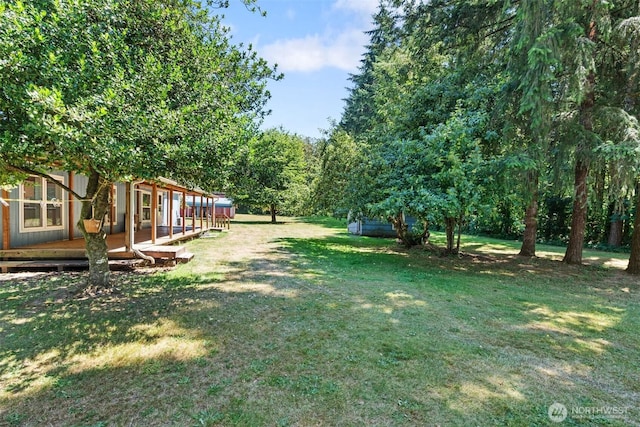 203 Pinkerton Rd, Ethel, WA 98542 - photo 28