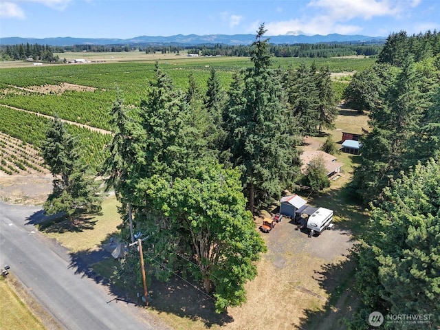 203 Pinkerton Rd, Ethel, WA 98542 - photo 33
