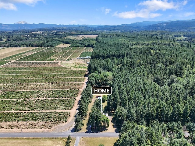 203 Pinkerton Rd, Ethel, WA 98542 - photo 34