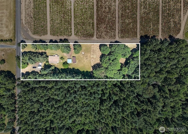 203 Pinkerton Rd, Ethel, WA 98542 - photo 35