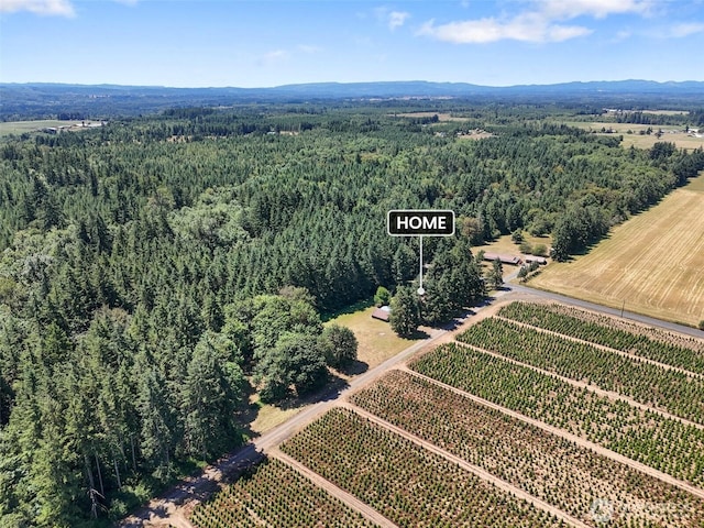 203 Pinkerton Rd, Ethel, WA 98542 - photo 36