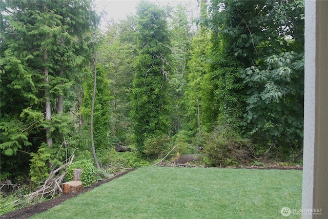 9010 Denise Pl NE, Bremerton, WA 98311 - photo 11