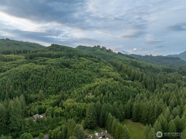 118 Bald Eagle Rd, Ariel, WA 98603 - view of mountain background featuring a heavily wooded area