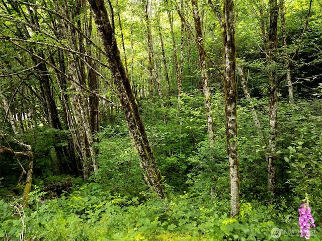 118 Bald Eagle Rd, Ariel, WA 98603 - view of wooded area