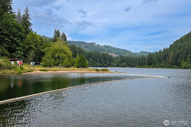 118 Bald Eagle Rd, Ariel, WA 98603 - water view featuring a heavily wooded area
