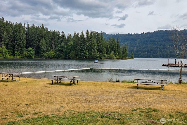118 Bald Eagle Rd, Ariel, WA 98603 - water view featuring a heavily wooded area