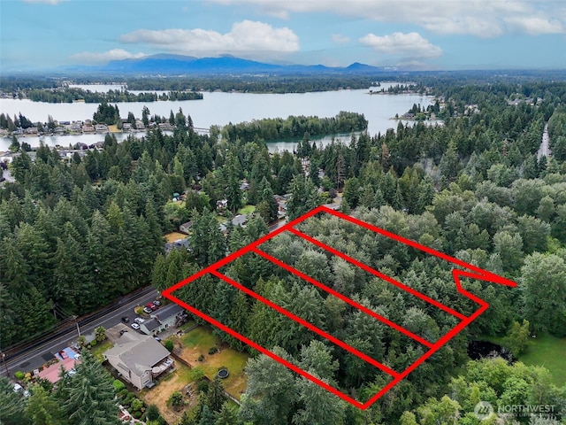 4302 W Tapps Dr E, Lake Tapps, WA 98391