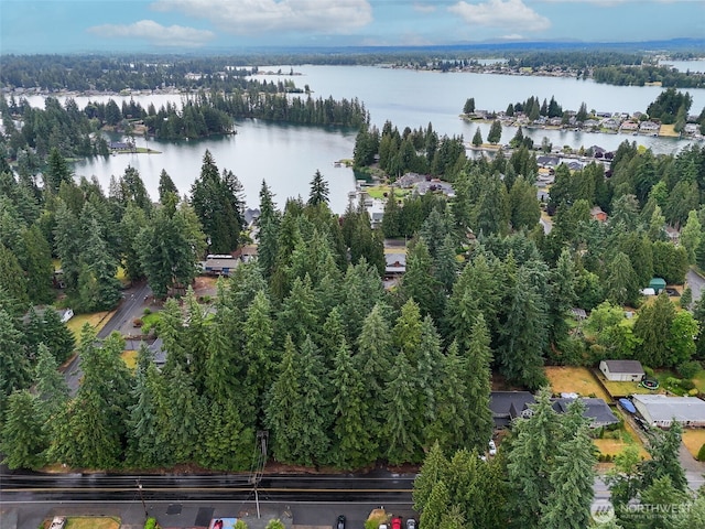 4302 W Tapps Dr E, Lake Tapps, WA 98391