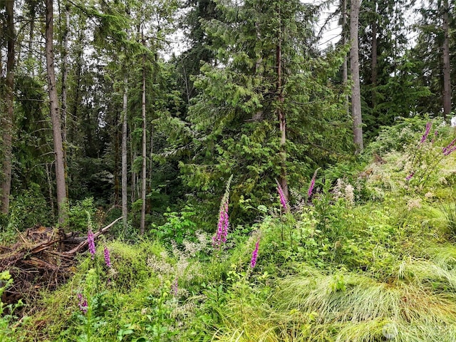 4302 W Tapps Dr E, Lake Tapps, WA 98391