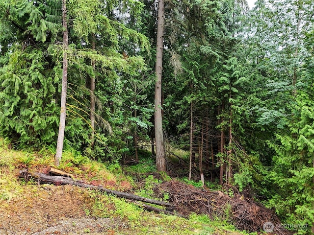 4302 W Tapps Dr E, Lake Tapps, WA 98391