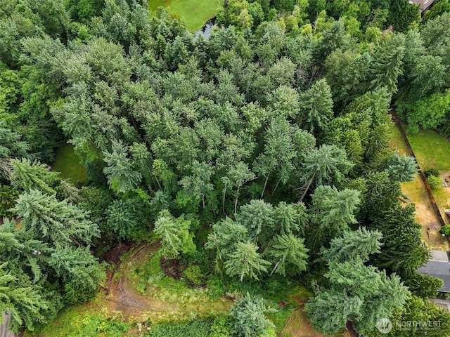 4302 W Tapps Dr E, Lake Tapps, WA 98391
