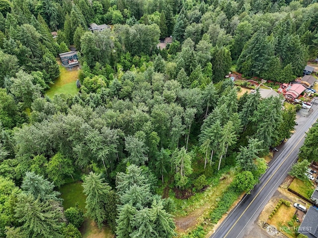 4302 W Tapps Dr E, Lake Tapps, WA 98391