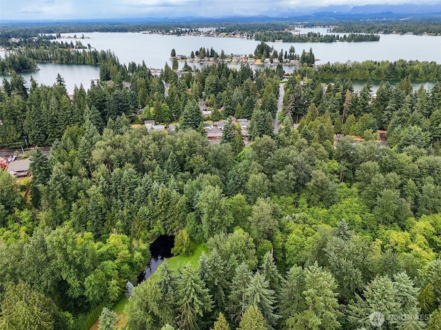 4302 W Tapps Dr E, Lake Tapps, WA 98391