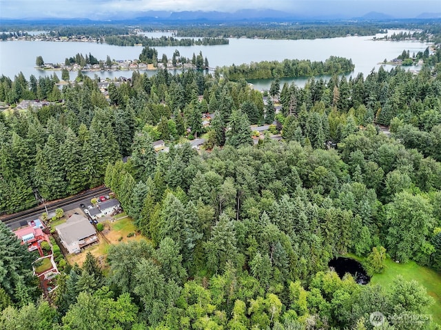 4302 W Tapps Dr E, Lake Tapps, WA 98391