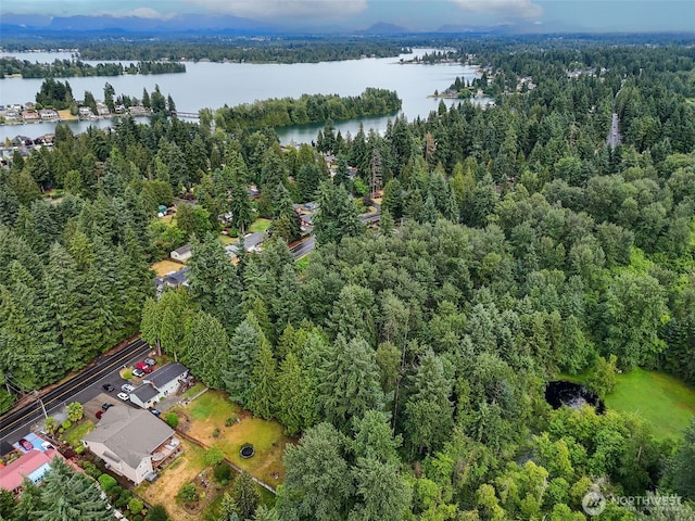 4302 W Tapps Dr E, Lake Tapps, WA 98391