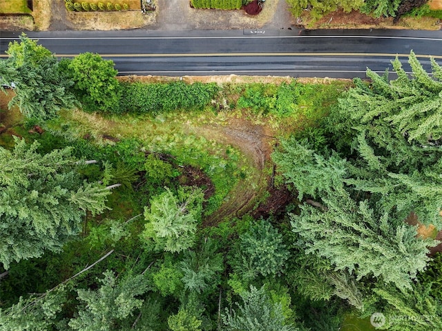 4302 W Tapps Dr E, Lake Tapps, WA 98391