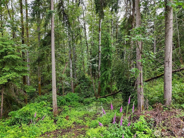 4302 W Tapps Dr E, Lake Tapps, WA 98391