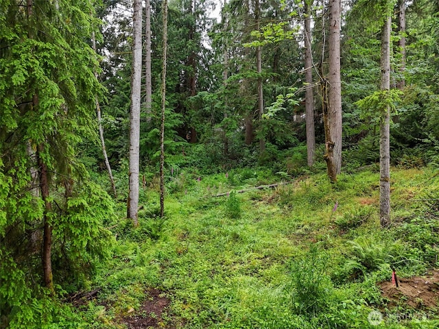 4302 W Tapps Dr E, Lake Tapps, WA 98391