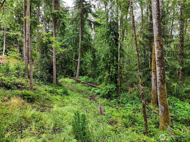 4302 W Tapps Dr E, Lake Tapps, WA 98391