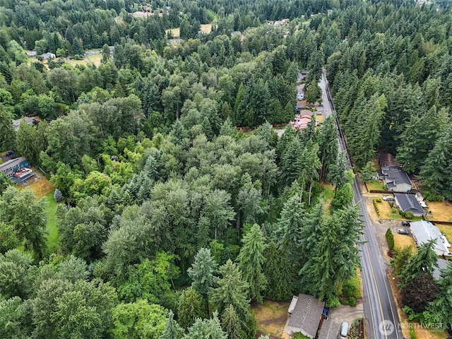 4302 W Tapps Dr E, Lake Tapps, WA 98391