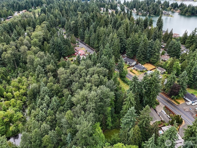4302 W Tapps Dr E, Lake Tapps, WA 98391