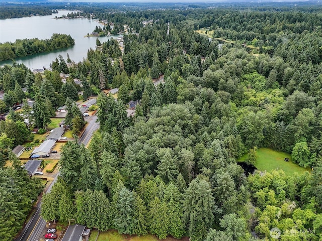 4302 W Tapps Dr E, Lake Tapps, WA 98391