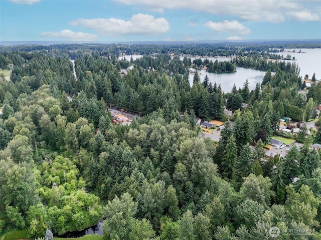 4302 W Tapps Dr E, Lake Tapps, WA 98391