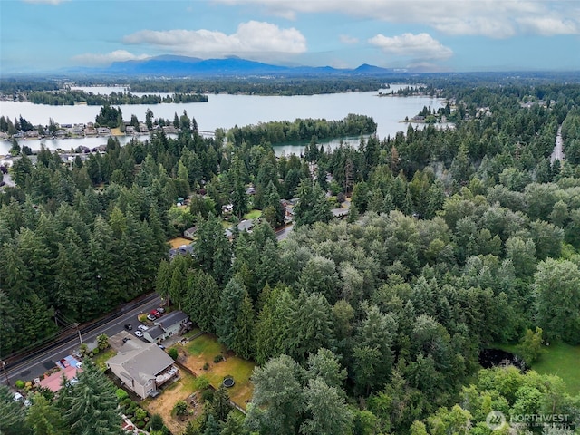 4302 W Tapps Dr E, Lake Tapps, WA 98391