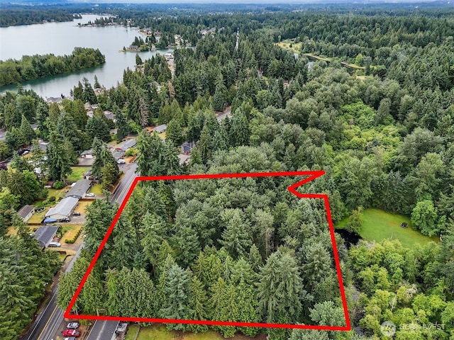 4302 W Tapps Dr E, Lake Tapps, WA 98391