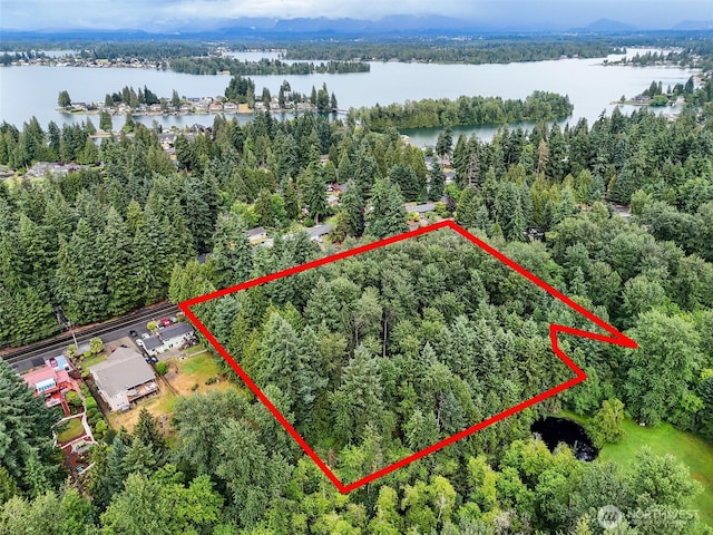 4302 W Tapps Dr E, Lake Tapps, WA 98391