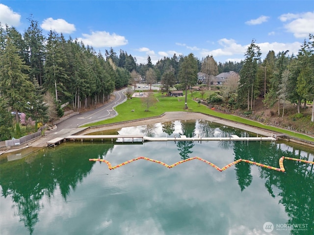 4302 W Tapps Dr E, Lake Tapps, WA 98391