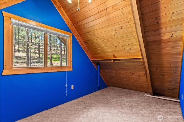 93 Larkspur Dr, Winthrop, WA 98862 - photo 23
