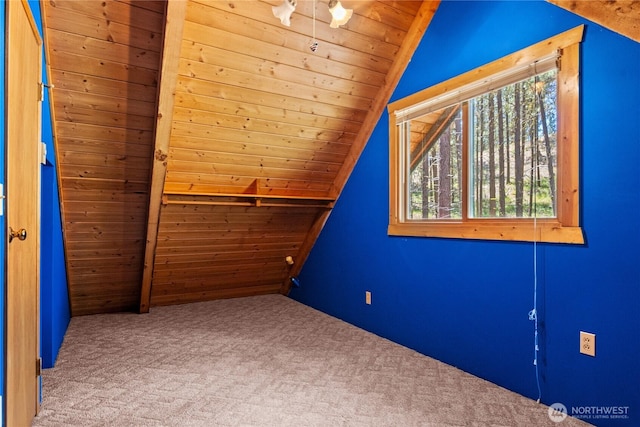 93 Larkspur Dr, Winthrop, WA 98862 - photo 24