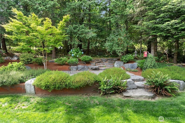 6211 18th Ave SW, Olympia, WA 98512 - view of yard