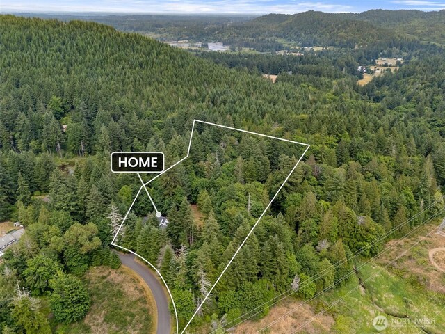6211 18th Ave SW, Olympia, WA 98512 - aerial overview of property's location with a forest and property boundaries highlighted
