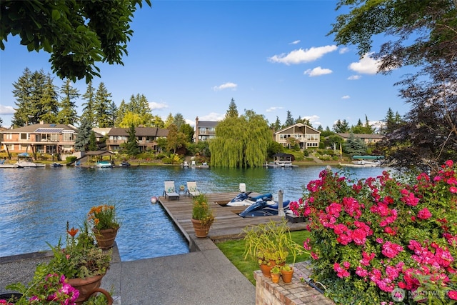 2911 196th Avenue Ct E, Lake Tapps, WA 98391 - photo 29