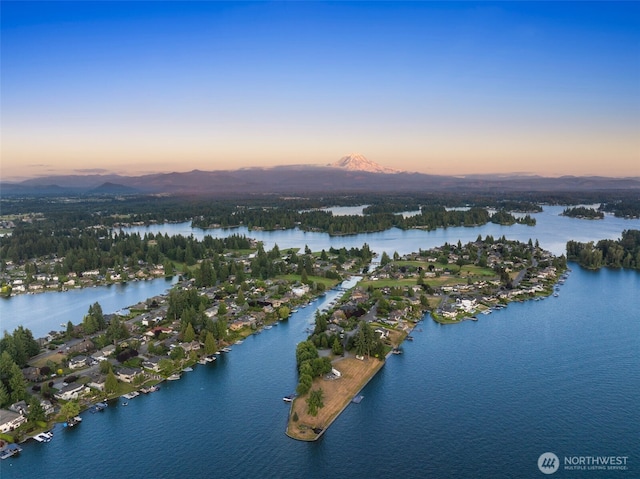 2911 196th Avenue Ct E, Lake Tapps, WA 98391 - photo 38