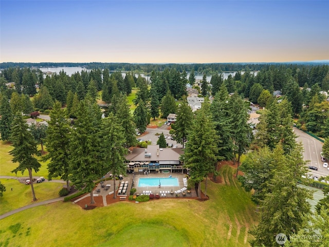 2911 196th Avenue Ct E, Lake Tapps, WA 98391 - photo 39