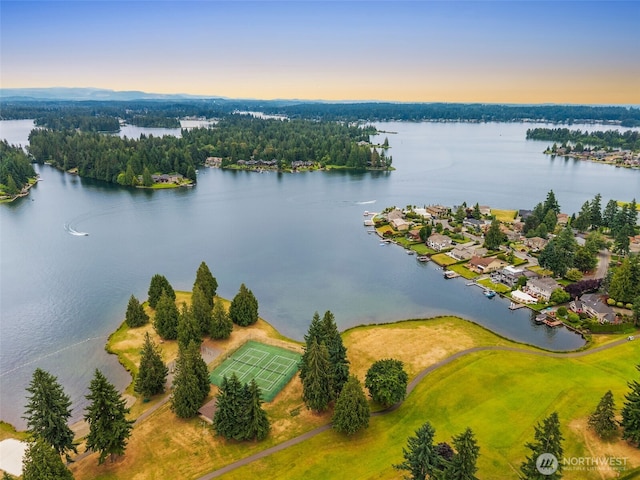 2911 196th Avenue Ct E, Lake Tapps, WA 98391 - photo 40